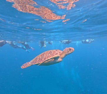  マリンショップHAPPYに投稿された画像（2024/9/25）