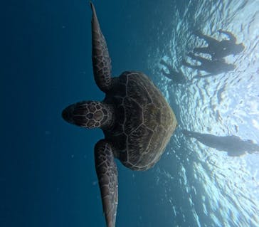  マリンショップHAPPYに投稿された画像（2024/9/25）