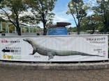 名古屋市東山動植物園に投稿された画像（2024/9/25）