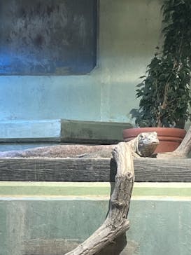 名古屋市東山動植物園に投稿された画像（2024/9/25）