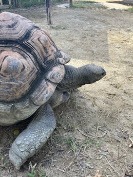 名古屋市東山動植物園に投稿された画像（2024/9/25）
