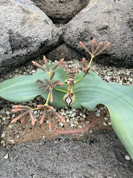 名古屋市東山動植物園に投稿された画像（2024/9/25）