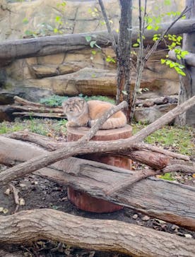 那須どうぶつ王国に投稿された画像（2024/9/25）