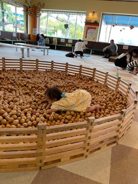 東条湖おもちゃ王国に投稿された画像（2024/9/25）