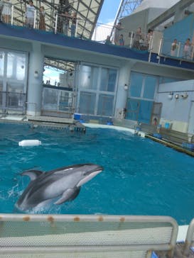 横浜・八景島シーパラダイスに投稿された画像（2024/9/25）