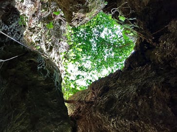 CAVE OKINAWAに投稿された画像（2024/9/25）