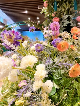 モネ＆フレンズ・アライブに投稿された画像（2024/9/25）