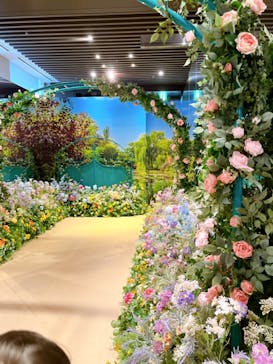 モネ＆フレンズ・アライブに投稿された画像（2024/9/25）