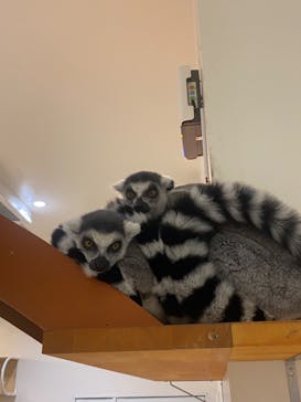 アニタッチららぽーと名古屋みなとアクルスに投稿された画像（2024/9/25）