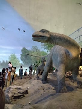 福井県立恐竜博物館に投稿された画像（2024/9/25）
