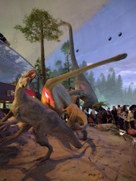 福井県立恐竜博物館に投稿された画像（2024/9/25）