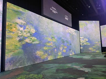 モネ＆フレンズ・アライブに投稿された画像（2024/9/25）