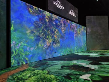 モネ＆フレンズ・アライブに投稿された画像（2024/9/25）