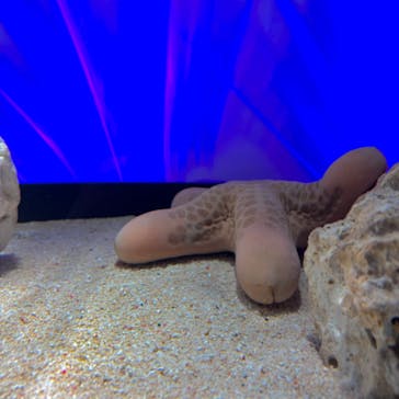 サンシャイン水族館に投稿された画像（2024/9/25）