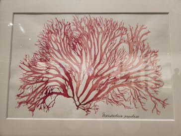 和食～日本の自然、人々の知恵～（東北歴史博物館）に投稿された画像（2024/9/25）