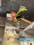 特別展「昆虫 MANIAC」（国立科学博物館）に投稿された画像（2024/9/25）