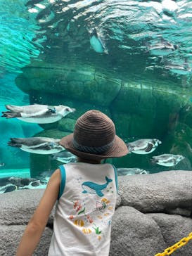 天王寺動物園に投稿された画像（2024/9/25）