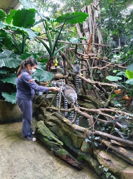 那須どうぶつ王国に投稿された画像（2024/9/25）