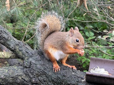 那須どうぶつ王国に投稿された画像（2024/9/25）