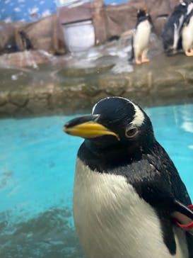 那須どうぶつ王国に投稿された画像（2024/9/25）