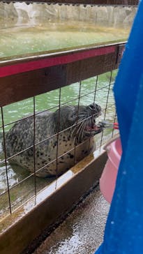 那須どうぶつ王国に投稿された画像（2024/9/25）