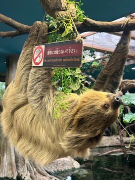 那須どうぶつ王国に投稿された画像（2024/9/25）