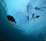 マリンクラブジジに投稿された画像（2024/9/25）