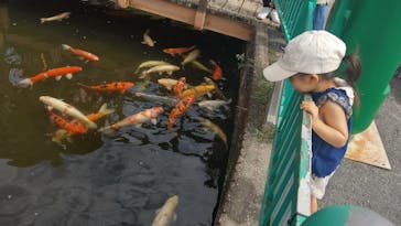 東条湖おもちゃ王国に投稿された画像（2024/9/25）