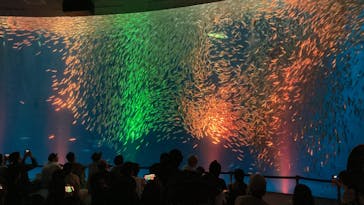 名古屋港水族館に投稿された画像（2024/9/25）