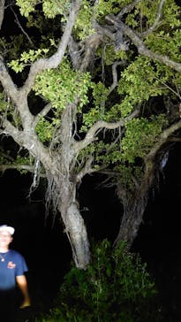 マーレ石垣島に投稿された画像（2024/9/25）