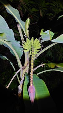 マーレ石垣島に投稿された画像（2024/9/25）