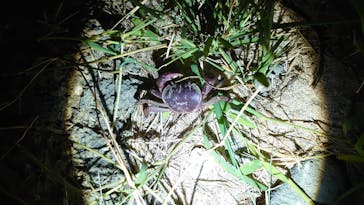 マーレ石垣島に投稿された画像（2024/9/25）