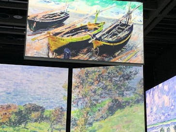 モネ＆フレンズ・アライブに投稿された画像（2024/9/25）