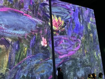 モネ＆フレンズ・アライブに投稿された画像（2024/9/25）