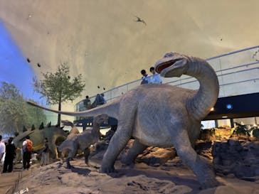 福井県立恐竜博物館に投稿された画像（2024/9/25）