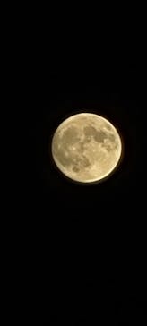 サンシャイン60展望台に投稿された画像（2024/9/25）