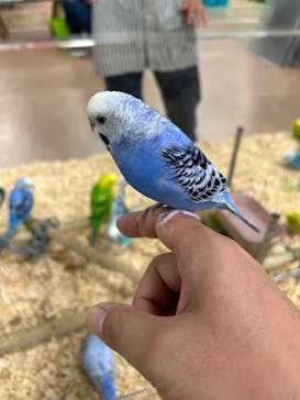 いきもの探検隊上尾に投稿された画像（2024/9/25）