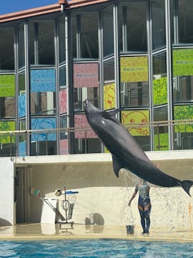 伊豆・三津シーパラダイスに投稿された画像（2024/9/26）