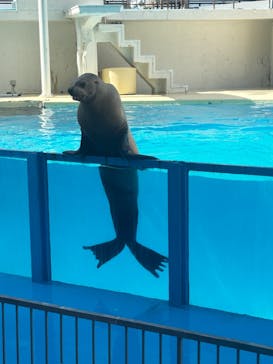 伊豆・三津シーパラダイスに投稿された画像（2024/9/26）