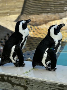 マリンワールド海の中道に投稿された画像（2024/9/26）