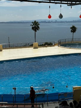 マリンワールド海の中道に投稿された画像（2024/9/26）