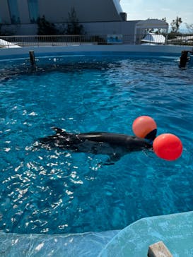 マリンワールド海の中道に投稿された画像（2024/9/26）