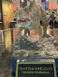 福井県立恐竜博物館に投稿された画像（2024/9/26）