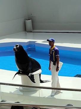 鴨川シーワールドに投稿された画像（2024/9/26）