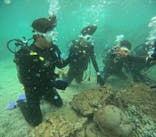 沖縄マリンサービス碧に投稿された画像（2024/9/26）