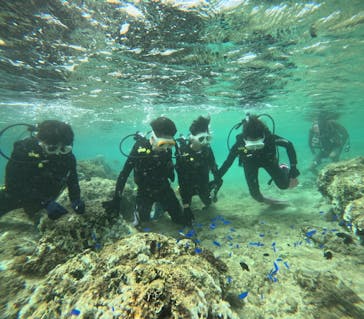 沖縄マリンサービス碧に投稿された画像（2024/9/26）