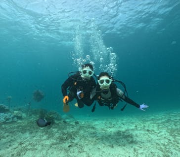 青の洞窟専門店　沖縄ダイビングショップ和に投稿された画像（2024/9/26）