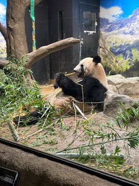 恩賜上野動物園に投稿された画像（2024/9/26）