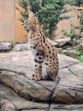 那須どうぶつ王国に投稿された画像（2024/9/26）