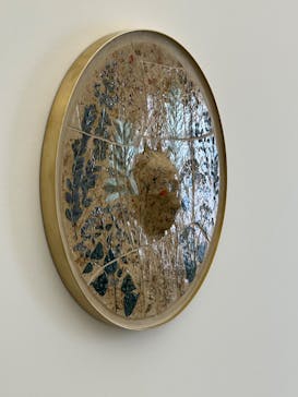 金沢21世紀美術館に投稿された画像（2024/9/26）